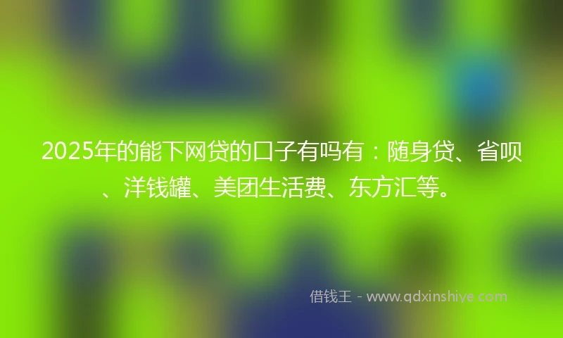 2025年的能下网贷的口子有吗有：随身贷、省呗、洋钱罐、美团生活费、东方汇等。