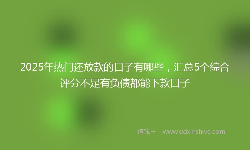 2025年热门还放款的口子有哪些，汇总5个综合评分不足有负债都能下款口子