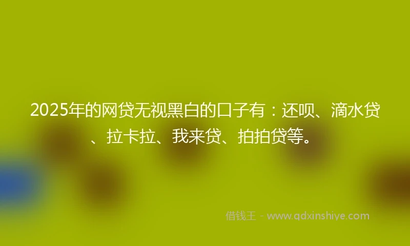 2025年的网贷无视黑白的口子有：还呗、滴水贷、拉卡拉、我来贷、拍拍贷等。