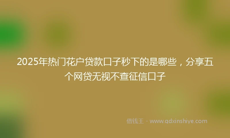 2025年热门花户贷款口子秒下的是哪些，分享五个网贷无视不查征信口子