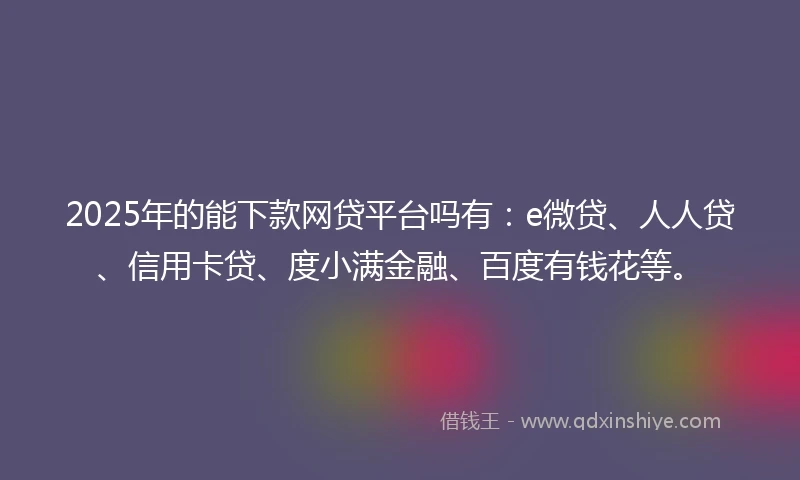 2025年的能下款网贷平台吗有：e微贷、人人贷、信用卡贷、度小满金融、百度有钱花等。