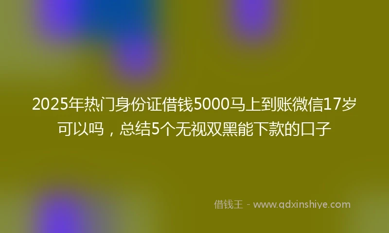 2025年热门身份证借钱5000马上到账微信17岁可以吗，总结5个无视双黑能下款的口子