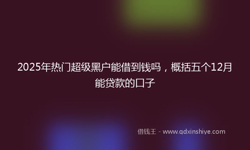 2025年热门超级黑户能借到钱吗，概括五个12月能贷款的口子
