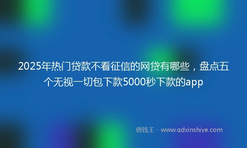 2025年热门贷款不看征信的网贷有哪些，盘点五个无视一切包下款5000秒下款的app