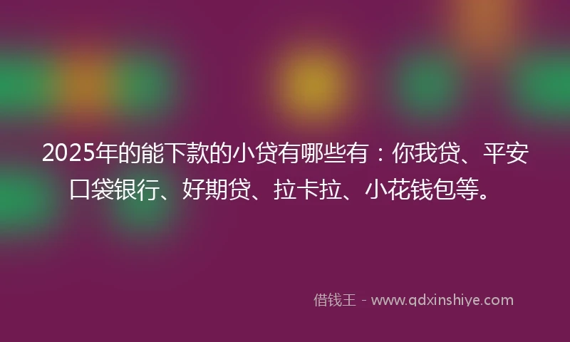 2025年的能下款的小贷有哪些有：你我贷、平安口袋银行、好期贷、拉卡拉、小花钱包等。