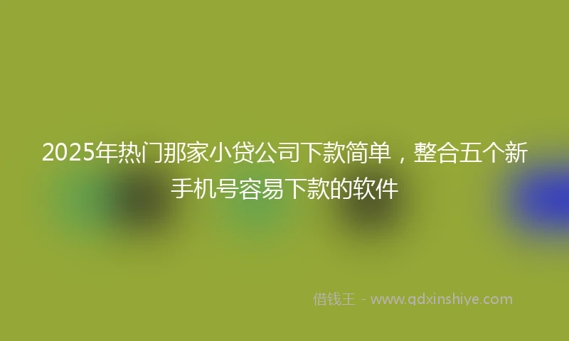 2025年热门那家小贷公司下款简单，整合五个新手机号容易下款的软件