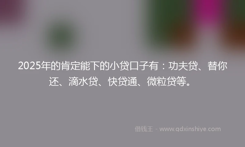 2025年的肯定能下的小贷口子有：功夫贷、替你还、滴水贷、快贷通、微粒贷等。