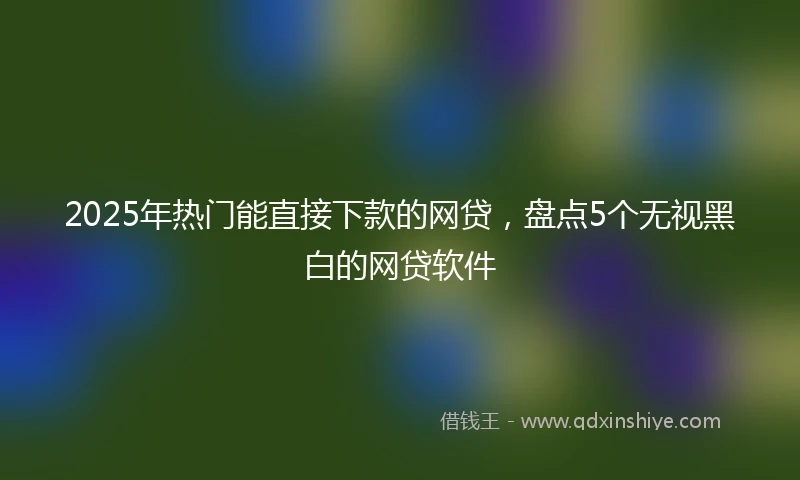 2025年热门能直接下款的网贷，盘点5个无视黑白的网贷软件