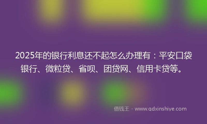 2025年的银行利息还不起怎么办理有：平安口袋银行、微粒贷、省呗、团贷网、信用卡贷等。