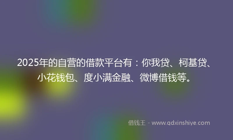 2025年的自营的借款平台有：你我贷、柯基贷、小花钱包、度小满金融、微博借钱等。