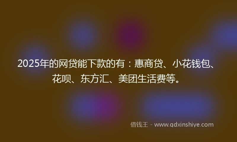2025年的网贷能下款的有：惠商贷、小花钱包、花呗、东方汇、美团生活费等。