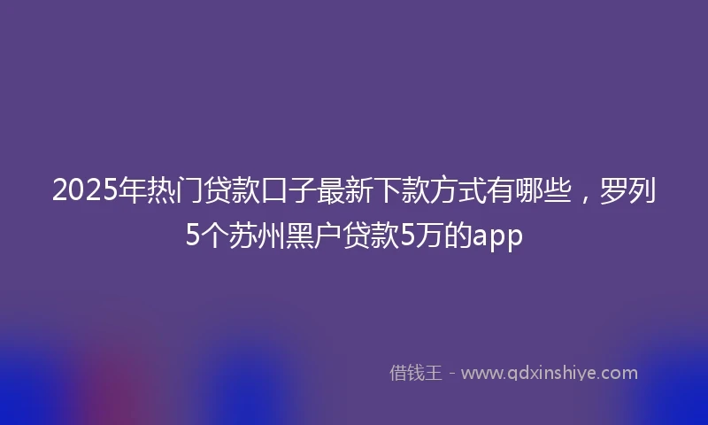 2025年热门贷款口子最新下款方式有哪些，罗列5个苏州黑户贷款5万的app
