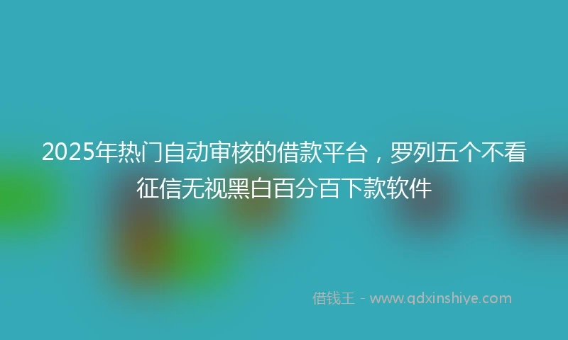 2025年热门自动审核的借款平台，罗列五个不看征信无视黑白百分百下款软件