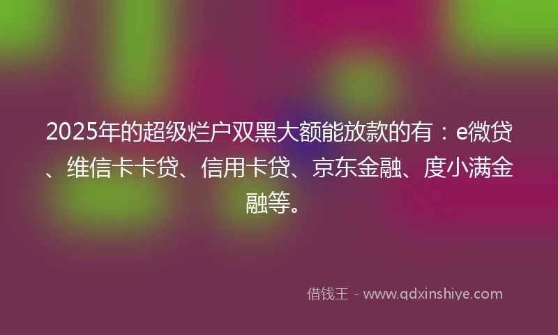 2025年的超级烂户双黑大额能放款的有：e微贷、维信卡卡贷、信用卡贷、京东金融、度小满金融等。