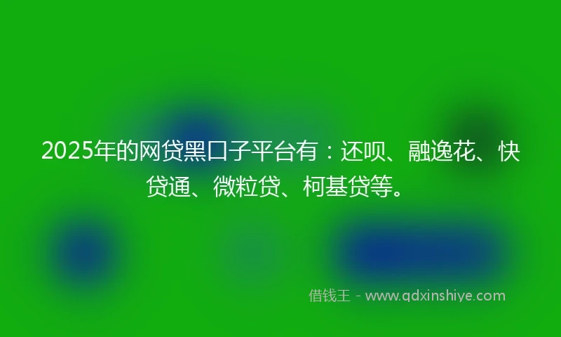 2025年的网贷黑口子平台有：还呗、融逸花、快贷通、微粒贷、柯基贷等。