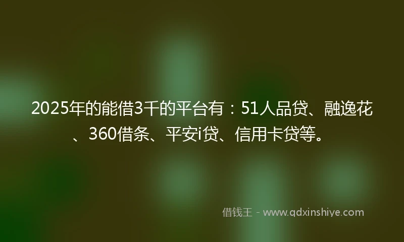 2025年的能借3千的平台有：51人品贷、融逸花、360借条、平安i贷、信用卡贷等。