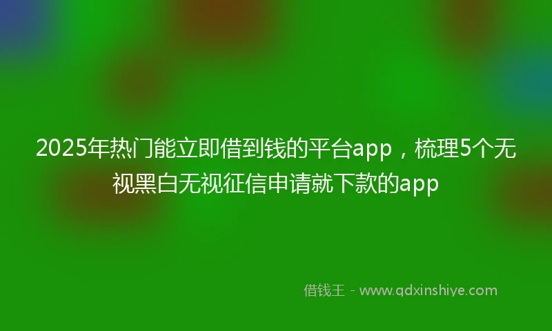 2025年热门能立即借到钱的平台app，梳理5个无视黑白无视征信申请就下款的app