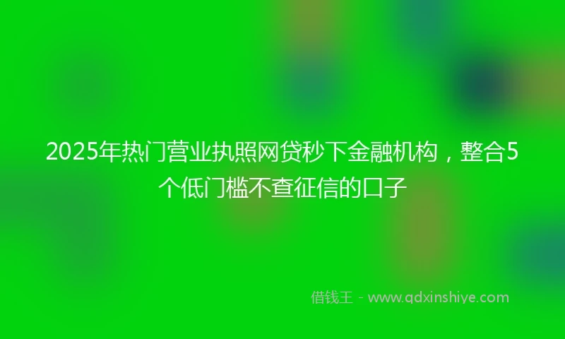 2025年热门营业执照网贷秒下金融机构，整合5个低门槛不查征信的口子