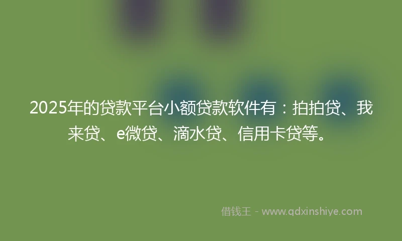 2025年的贷款平台小额贷款软件有：拍拍贷、我来贷、e微贷、滴水贷、信用卡贷等。