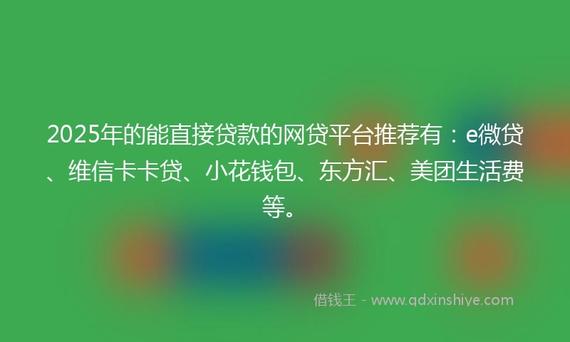 2025年的能直接贷款的网贷平台推荐有：e微贷、维信卡卡贷、小花钱包、东方汇、美团生活费等。