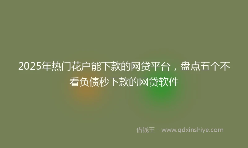 2025年热门花户能下款的网贷平台，盘点五个不看负债秒下款的网贷软件