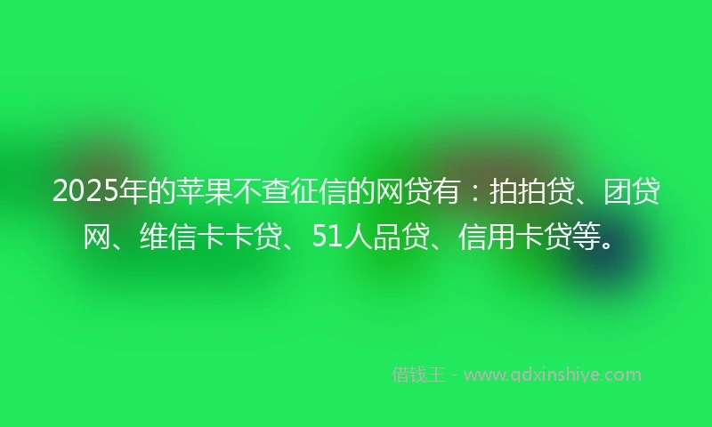 2025年的苹果不查征信的网贷有：拍拍贷、团贷网、维信卡卡贷、51人品贷、信用卡贷等。