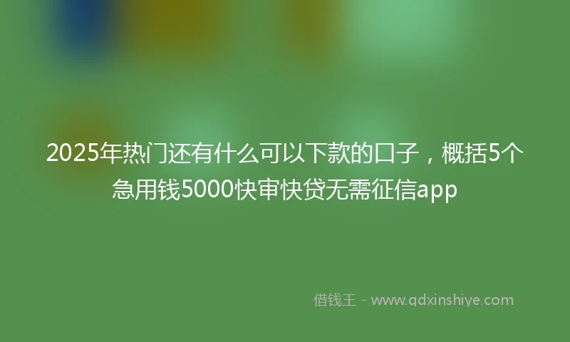 2025年热门还有什么可以下款的口子，概括5个急用钱5000快审快贷无需征信app