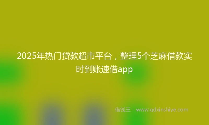 2025年热门贷款超市平台，整理5个芝麻借款实时到账速借app