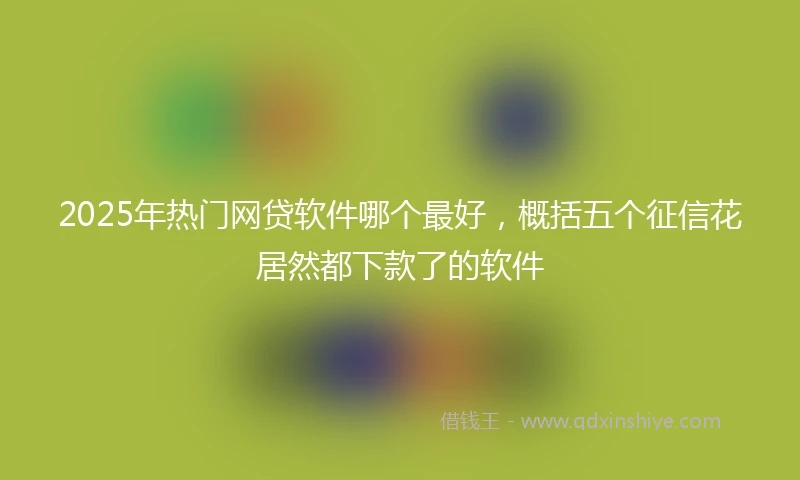 2025年热门网贷软件哪个最好，概括五个征信花居然都下款了的软件