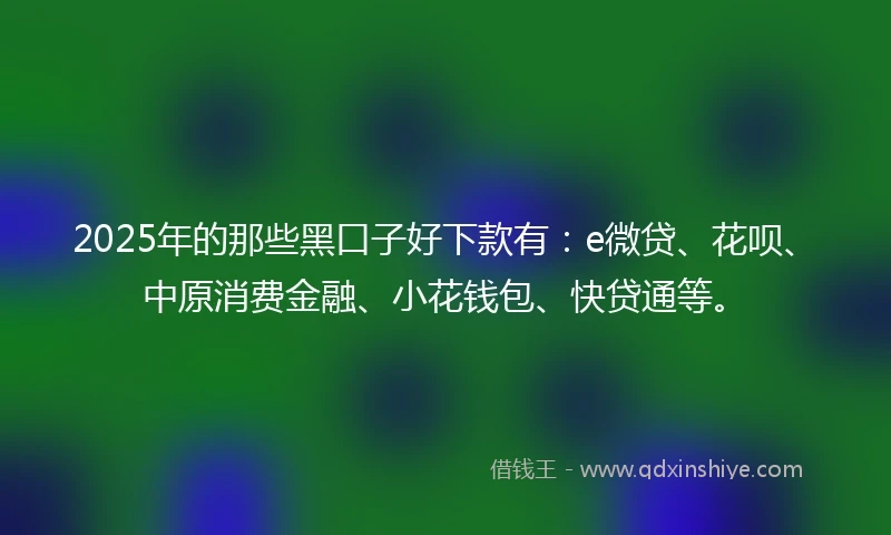 2025年的那些黑口子好下款有：e微贷、花呗、中原消费金融、小花钱包、快贷通等。