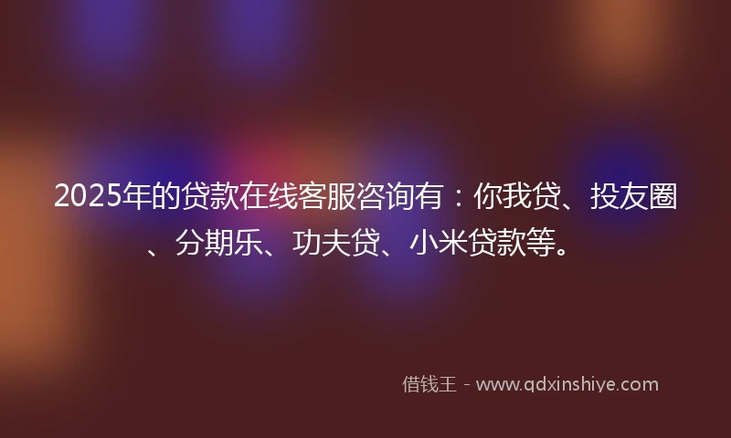 2025年的贷款在线客服咨询有：你我贷、投友圈、分期乐、功夫贷、小米贷款等。