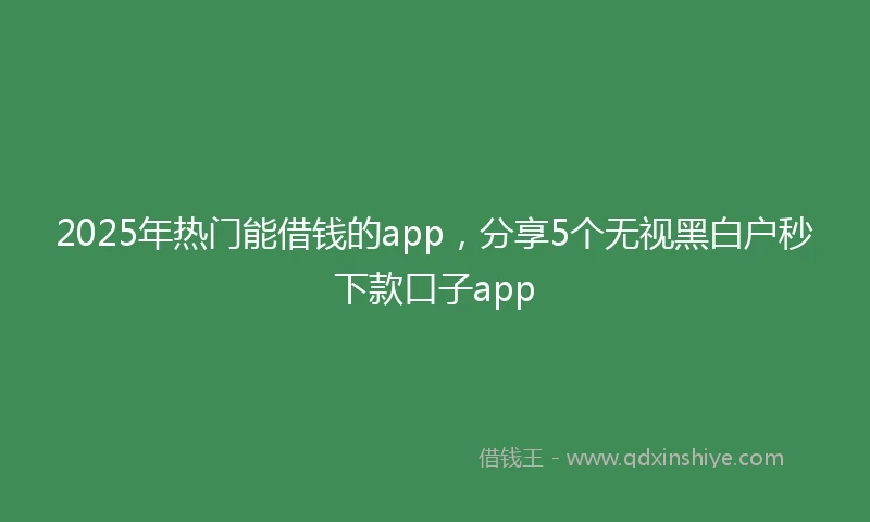 2025年热门能借钱的app，分享5个无视黑白户秒下款口子app