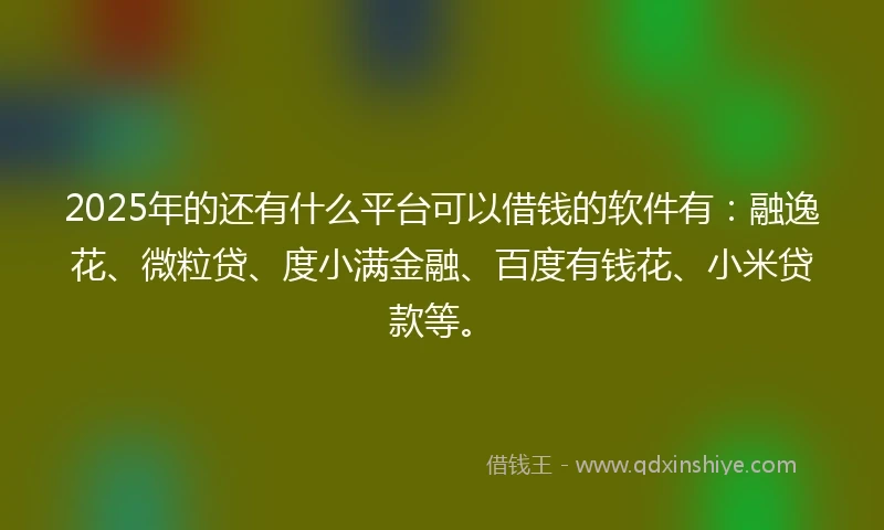 2025年的还有什么平台可以借钱的软件有：融逸花、微粒贷、度小满金融、百度有钱花、小米贷款等。