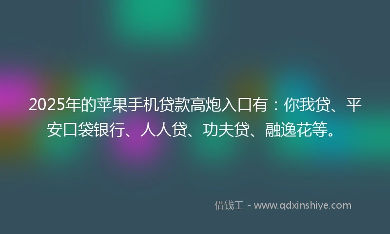 2025年的苹果手机贷款高炮入口有：你我贷、平安口袋银行、人人贷、功夫贷、融逸花等。