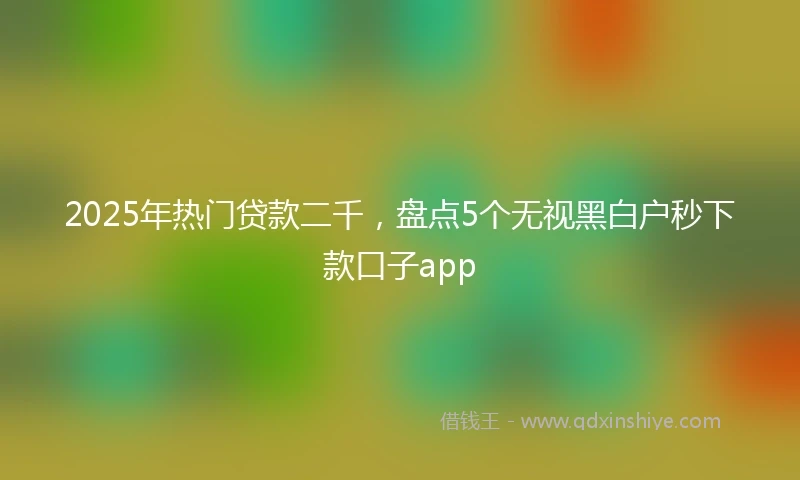 2025年热门贷款二千，盘点5个无视黑白户秒下款口子app