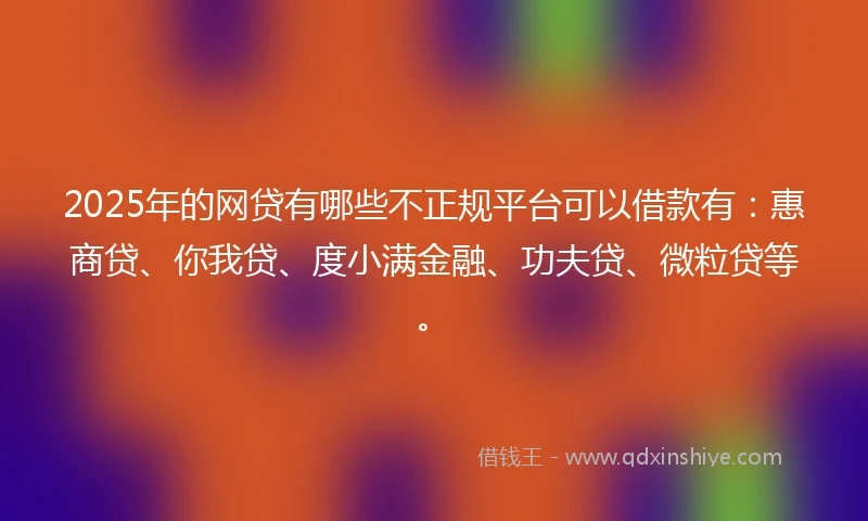 2025年的网贷有哪些不正规平台可以借款有：惠商贷、你我贷、度小满金融、功夫贷、微粒贷等。