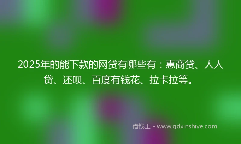 2025年的能下款的网贷有哪些有：惠商贷、人人贷、还呗、百度有钱花、拉卡拉等。