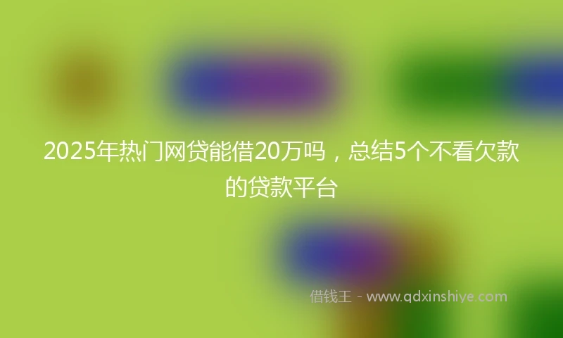 2025年热门网贷能借20万吗，总结5个不看欠款的贷款平台