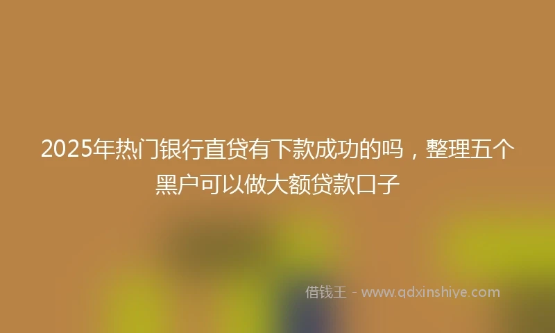 2025年热门银行直贷有下款成功的吗，整理五个黑户可以做大额贷款口子