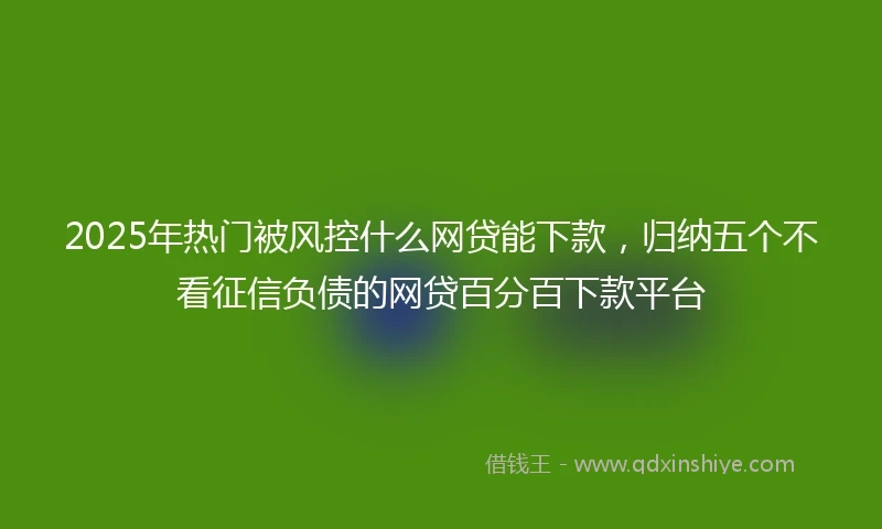 2025年热门被风控什么网贷能下款，归纳五个不看征信负债的网贷百分百下款平台