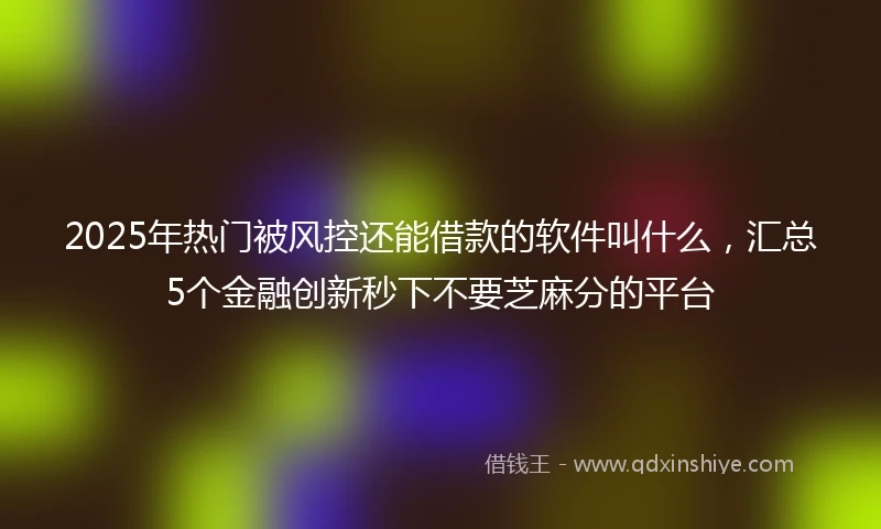 2025年热门被风控还能借款的软件叫什么，汇总5个金融创新秒下不要芝麻分的平台