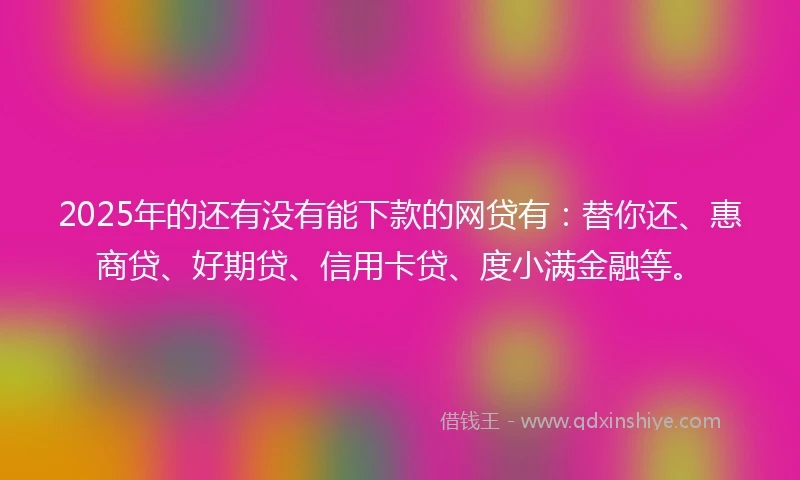 2025年的还有没有能下款的网贷有：替你还、惠商贷、好期贷、信用卡贷、度小满金融等。