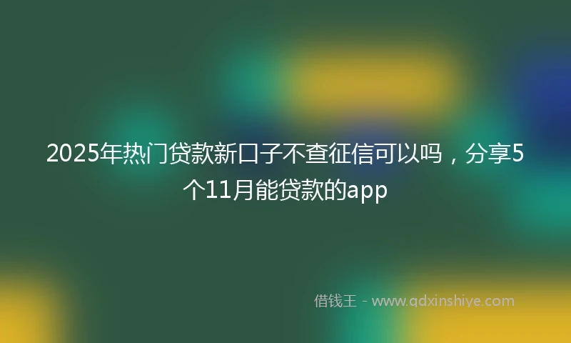 2025年热门贷款新口子不查征信可以吗，分享5个11月能贷款的app