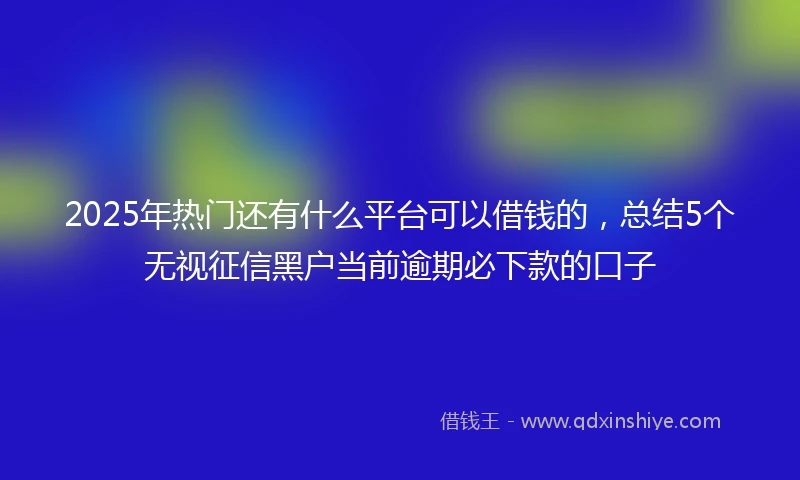 2025年热门还有什么平台可以借钱的,总结5个无视征信黑户当前逾期必下款的口子