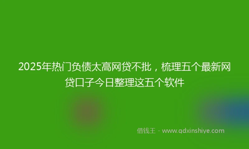 2025年热门负债太高网贷不批,梳理五个最新网贷口子今日整理这五个软件