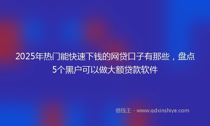 2025年热门能快速下钱的网贷口子有那些，盘点5个黑户可以做大额贷款软件