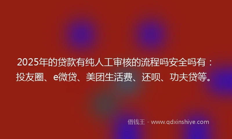 2025年的贷款有纯人工审核的流程吗安全吗有：投友圈、e微贷、美团生活费、还呗、功夫贷等。