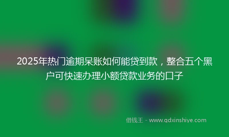 2025年热门逾期呆账如何能贷到款，整合五个黑户可快速办理小额贷款业务的口子