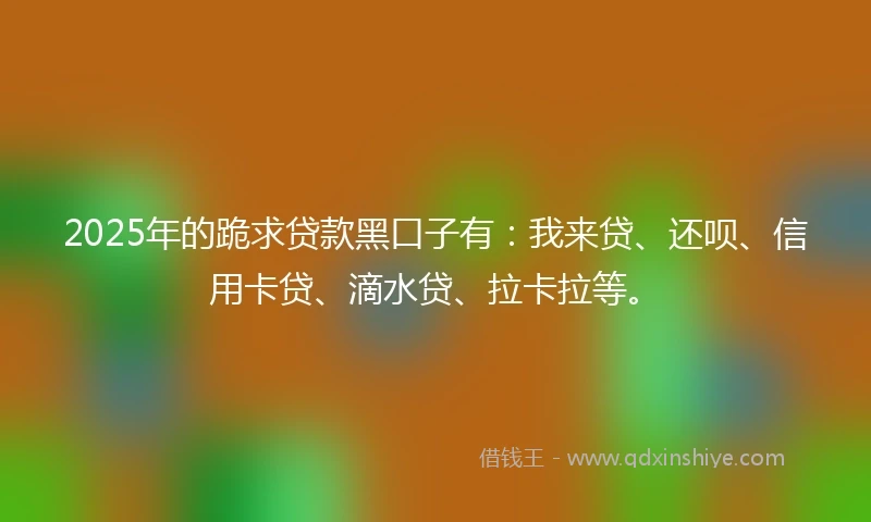2025年的跪求贷款黑口子有：我来贷、还呗、信用卡贷、滴水贷、拉卡拉等。
