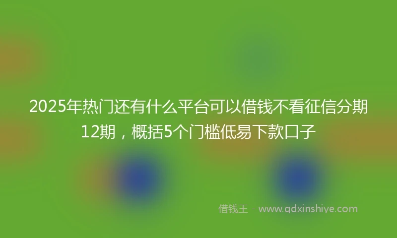 2025年热门还有什么平台可以借钱不看征信分期12期，概括5个门槛低易下款口子